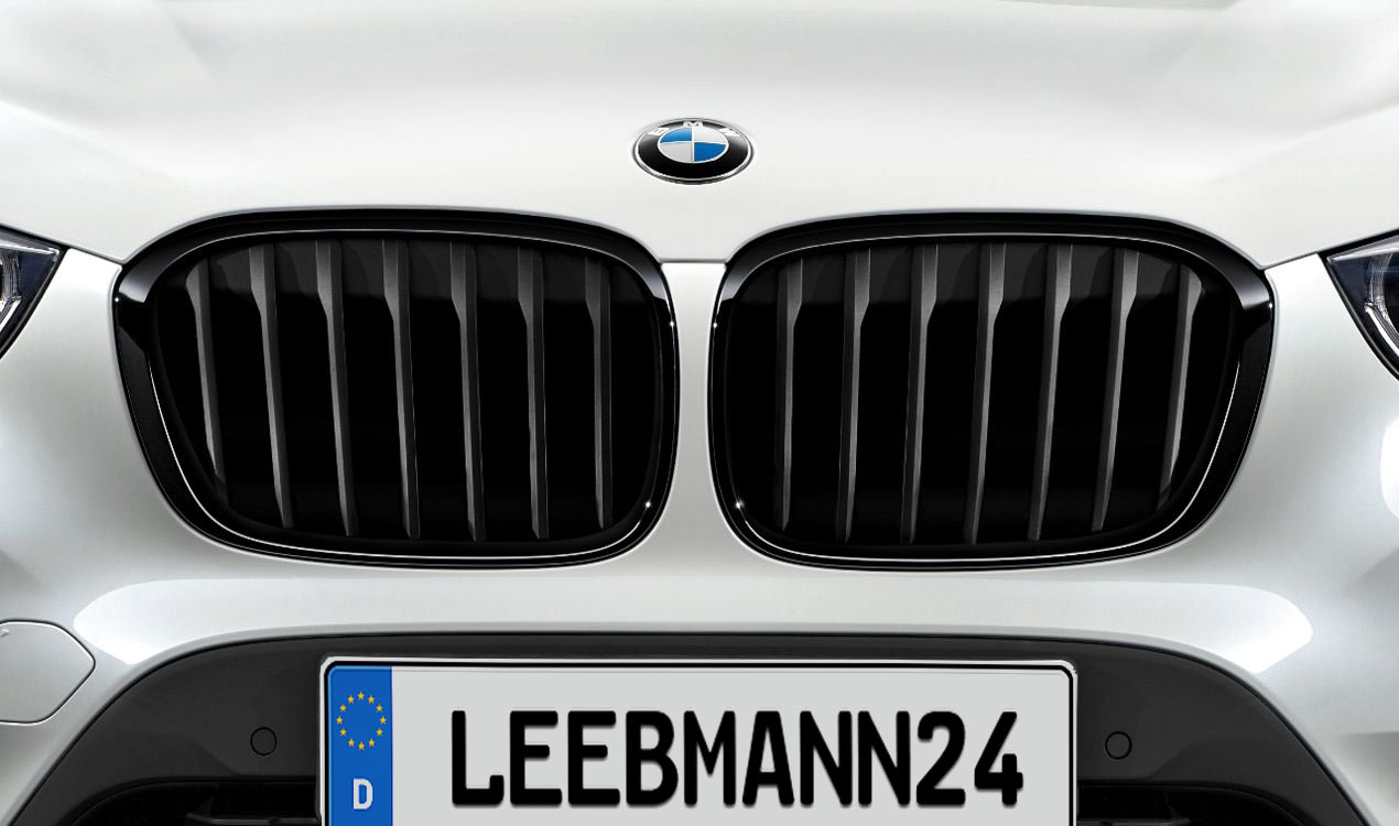 BMW M Performance front grille X1 F48 - BMW.Click - Spare parts and ...