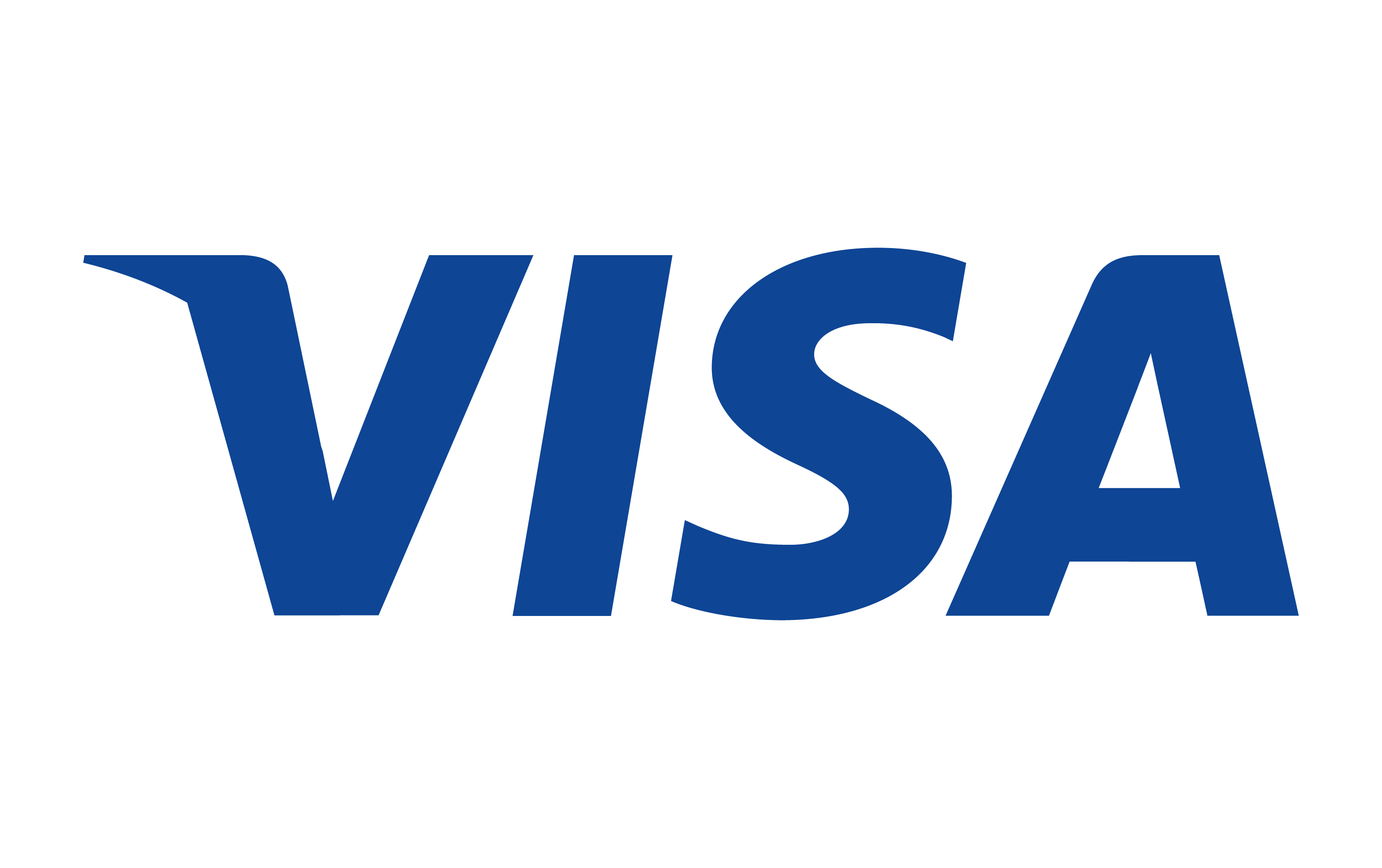 Visa credit card payment method 